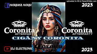 🎲🔥CIGÁNY CORONITA🔥🎲 2023 DJ ELECTRONIC [upl. by Aelber]