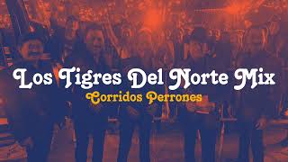 Los Tigres Del Norte Mix Viejitas Pero Perronas [upl. by Kimberlee]