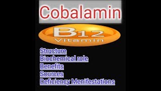 Vitamin B12  Cobalamin Lecture [upl. by Leonora]