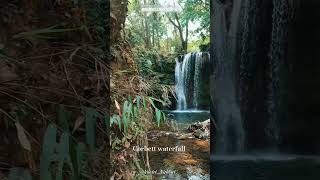 20 Waterfalls near nainital । Yaatri Nishant [upl. by Attelrahs813]