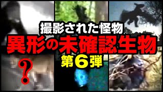 【映像】撮影された怪物 異形の未確認生物 第６弾 [upl. by Ellatsyrc]