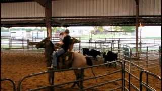 San Olena Quixote  41812 sorting practice 1  Valley View Ranch [upl. by Dazraf]