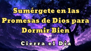 Sumérgete en las Promesas de Dios para Dormir Bien  Biblia en audio [upl. by Anoblav814]