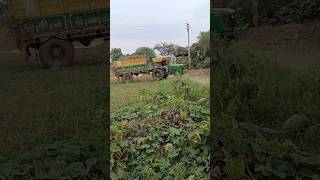 🌱Going to goshala 🔥gomata ytshortsindia farming guruveervlogs Crazyniruvlogs001 minivlog [upl. by Pozzy104]