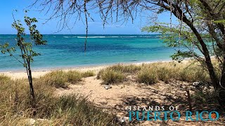 Playa Tamarindo Guanica Puerto Rico [upl. by Devora]