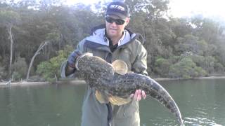 REEL IT IN  quot How To Catch Big Dusky Flathead quot PART 2 [upl. by Nelly995]