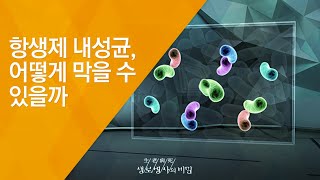 항생제 내성균 어떻게 막을 수 있을까  20130619461회 방송세균과의 전쟁 항생제 내성의 공포 [upl. by Ehcram]