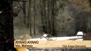 Mahesa  Ayang Ayang Official Music Video [upl. by Ashla]