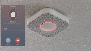 Testing the Nest Protect Smoke Alarm with Fire [upl. by Vardon]