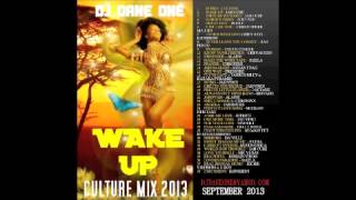 Wake Up  Reggae amp Culture Mix 2013  ChronixxGyptianJah cureIOctaneKabaka Pyramid [upl. by Renaldo7]