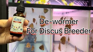 DeWormer for Discus Breeder and other freshwater and saltwater fish [upl. by Inalak46]