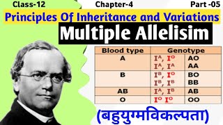 Multiple Alleles  Class 12 Genetics  Principle of Inheritance and Variation [upl. by Urial331]