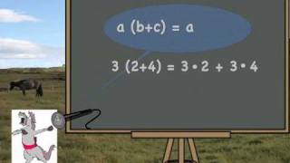 Distributive Law Song Cycle 2 Week 23 [upl. by Ecerahc395]