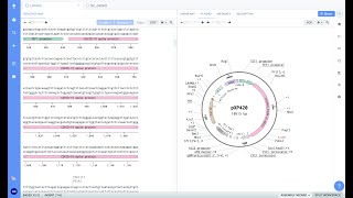 How to Design a Plasmid COVID19 Vaccine on Benchling [upl. by Heywood]