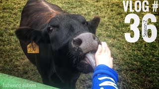 Autism School Field Trip  Cow Tongues and Three Legged Goats  Fathering Autism [upl. by Attenaj]