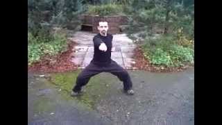 KUNG FU NITERÓI HUNG TAO CHOI MEI GAR quotLim Pou Chuanquot 1st part quotslowquot Ireland [upl. by Enomar]