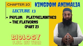 Phylum Platyhelminthes – The Flatworms I Chapter 10 I FSc I First Year I biology I Lec 12 [upl. by Blunk560]