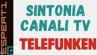 Come fare la sintonia ed il reset tv Telefunken [upl. by Fabrianne]