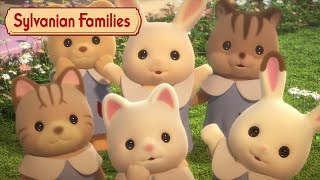 Best of the Babies 👶🏻 Animation Compilation  Sylvanian Families [upl. by Sedinoel134]