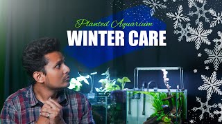 Planted Aquarium Winter Care  শীতকালীন যত্ন রাখার কিছু টিপস । [upl. by Nerin591]