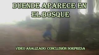 DUENDE APARECE EN EL BOSQUE [upl. by Allene571]