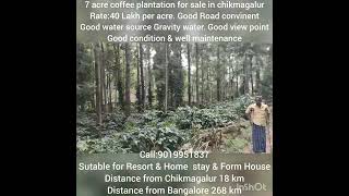 7 Acre coffee plant for sale in chikmagalurGood view pointprice40 Lakh per Acrecall9019951837 [upl. by Atina]