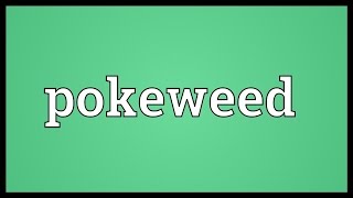 Pokeweed Meaning [upl. by Borlow]