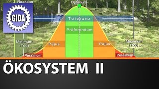 Trailer  Ökosystem II  Biologie  Schulfilm [upl. by Capone]