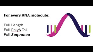 The Era of HighThroughput Epitranscriptomics [upl. by Nareik]