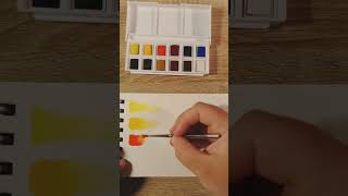 Unboxing the set from Winsor Newton [upl. by Ransom]