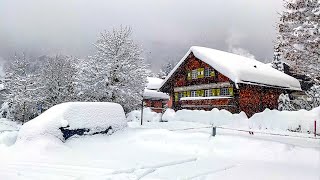 Heavy snowfall in Klosters ❄️ Switzerland 4K 🇨🇭 [upl. by Lebna]