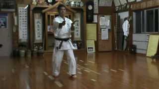 kata Sanseiryu Uechi ryu Karate Do Shohei ryu by Sensei Asao Nakasone 4 dan [upl. by Liddie933]