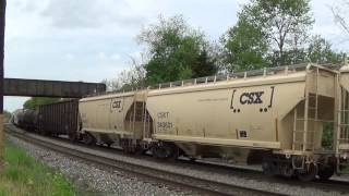 AmtrakCSXNS Train Action at Bardane amp Shenandoah Junction WV [upl. by Opalina723]