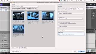 Adobe Premiere Elements 11 Tutorial  Capture From DSLR Cameras [upl. by Johannes488]