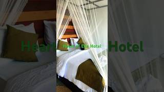 Ella Hotels [upl. by Bordiuk]