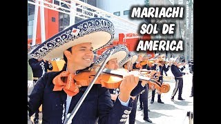 MARIACHIS EN SAN MATEO SOACHA 3152118472 [upl. by Clo]