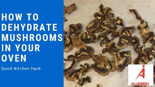 How to Dehydrate Mushrooms in your oven [upl. by Ogires]