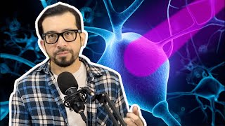 Empresa Implanta Neuronas en el Cerebro de las Personas [upl. by Akenot]