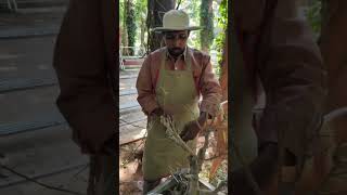 Shaping the bonsai plants vadhinamardhalyt viralvideo minicontent useful minivlog shortvideo [upl. by Dulcie]