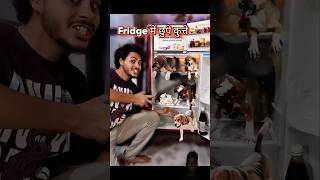 FRIGE MA CHHOPA KUTTA HA comedy funny video 🤣🤣 [upl. by Trout]