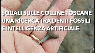 A caccia di squali sulle colline toscane con lIntelligenza Artificiale preistoria e algoritmi [upl. by Killen729]