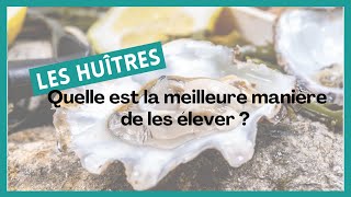 60 clés pour comprendre les huîtres  3 Quelles est la meilleure manière de les élever [upl. by Ingles]