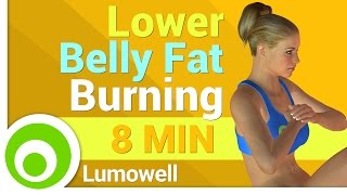 Lower Belly Fat Workout at Home [upl. by Robinett]