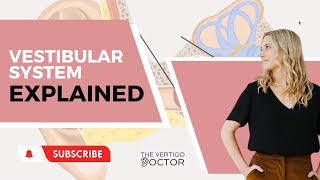 Vestibular System Explained  The Vertigo Doctor [upl. by Ellga959]