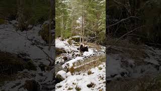 Waterfalls in Grenoble France 🇫🇷 snowwhite winterwonderland shortsviral youtubeshorts [upl. by Banks]