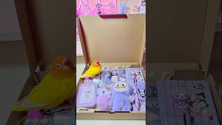 Kuromi amp Bird🦜📦 sanrio kuromi mymelody hellokitty cinnamoroll cute japan shorts asmr fyp [upl. by Fatima]