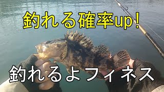 宮城釣り R5ライトゲーム11 フィネスで漁港巡り 東北 宮城釣り 釣り [upl. by Musser]