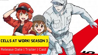 Cells at Work Season 3 Release Date  Trailer  Cast  Expectation  Ending Explained [upl. by Romaine]