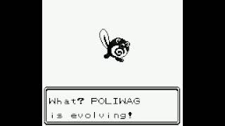 Shiny Poliwag double evolution into Poliwhirl then Poliwrath  Pokémon Crystal [upl. by Schmeltzer]