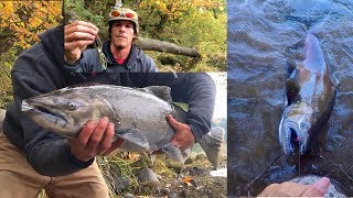 Salmon Fishing With Spinners  Late Season Coho amp Chinook Salmon [upl. by Riggs]